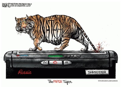 20150223 NATO - The Paper Tiger