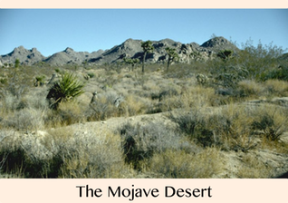 _Pic 1. The Mojave Desert, timthumb.php