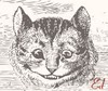 ED - Cheshire Cat Smiling (head-on) pxlmtr.v.3.0<- copy