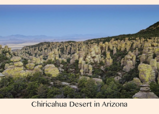 Pic 1. Chiricahua Desert in Arizona