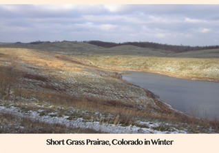 Pic 1. Short Grass Prairae, Colorado in Winter