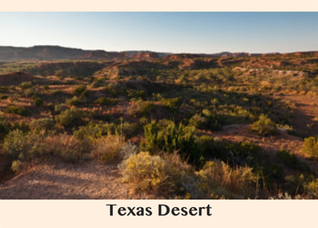 Texas Desert